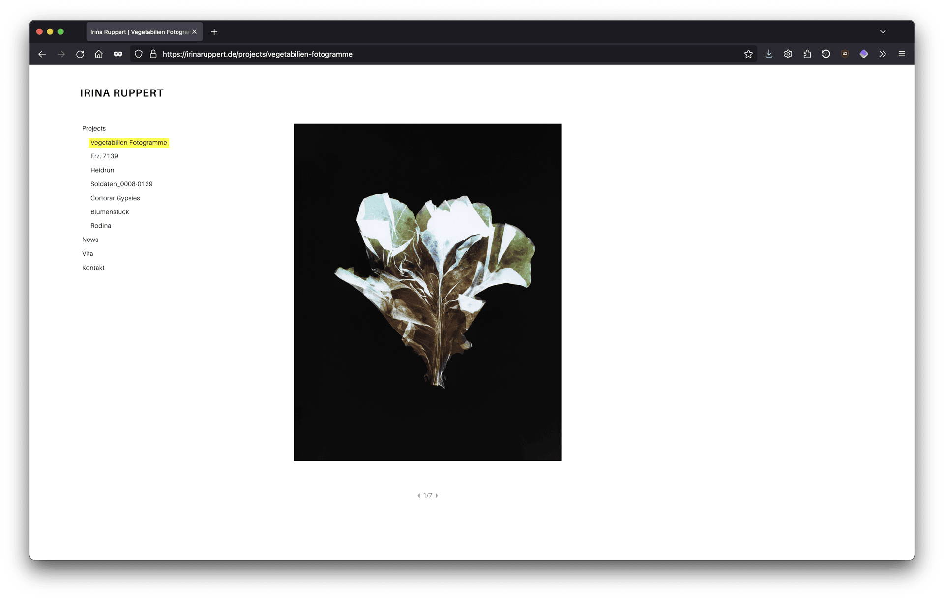 A screenshot of a website. It shows a photogramme of a salad and the menu bar of Irina Ruppert’s website on the left.
