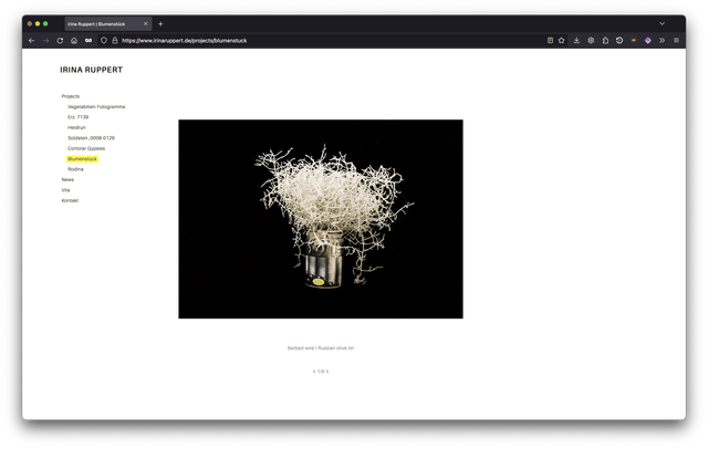 A screenshot of a website. It shows a photo of a dry plant in a jar and the menu bar of Irina Ruppert’s website on the left.